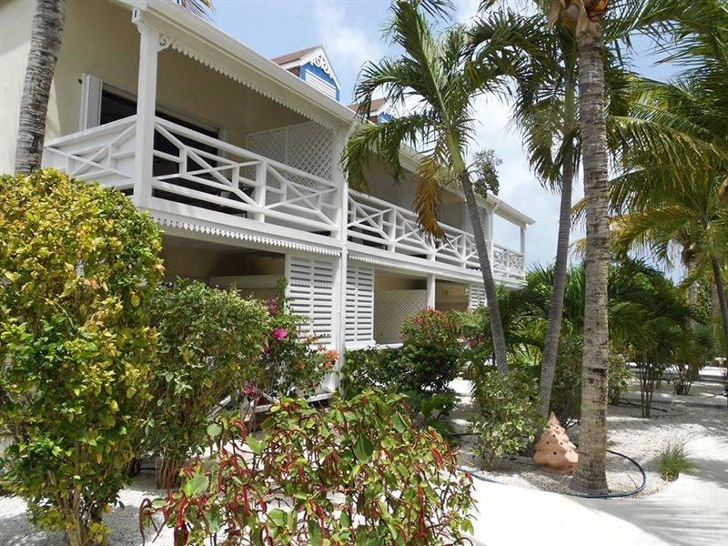Caribbean Paradise Inn Grace Bay Exterior foto