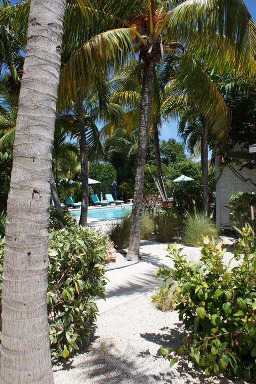 Caribbean Paradise Inn Grace Bay Exterior foto