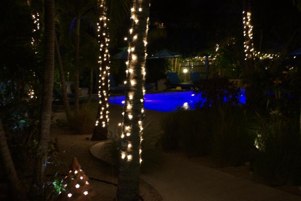 Caribbean Paradise Inn Grace Bay Exterior foto